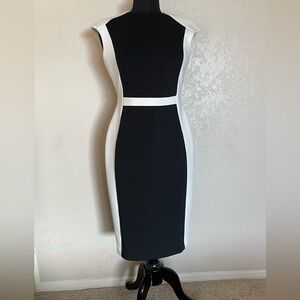 Calvin Klein Black and White Color blocked Shift Dress